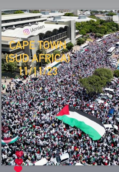 manifestazione palestina web
