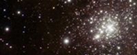 estrella_R136a1